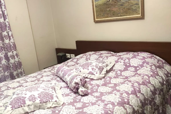 Shtepi me qera 1+1 ne Tirane - 500 Euro