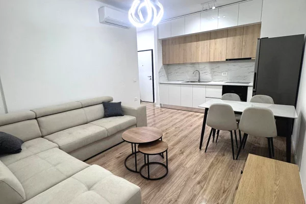 Shtepi me qera 1+1 ne Tirane - 55,000 Leke