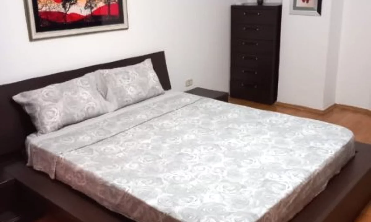 Shtepi me qera Apartament ne Tirane, 1+1, Mobilimi E mobiluar, Pagesa 550  Euro.