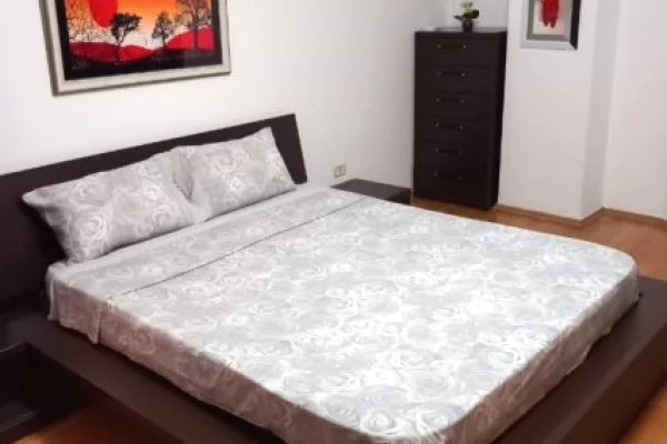 Zona: 21-dhjetori, Apartament 1+1+Blk me qera!