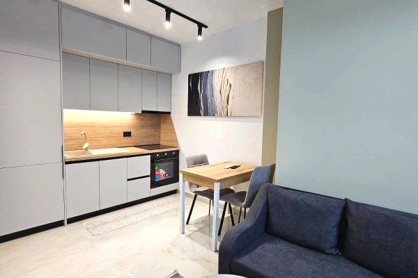 House for Rent 1+1 in Tirana - 37,000 Leke