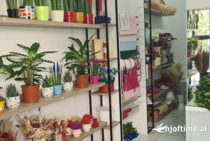 Ambiente Commerciale in Vendita 1+1 a Tirana - 10,000 Euro