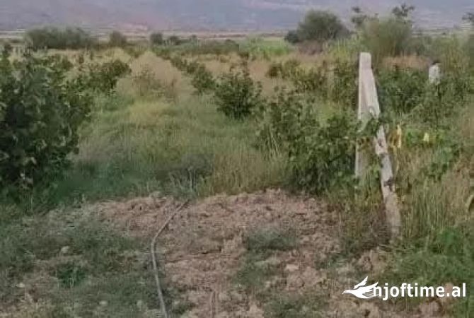 Truall ose Toke  ne Gjirokaster - 25,000 Euro