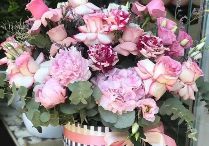 Holiday arrangements  in Tirana - 100 Euro