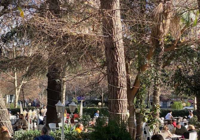 Njoftime Pune ne Tirane, Profesioni Kuzhnjer/e,Kamarier bari ,Kamarier restoranti , , Pagesa Me Marreveshje.