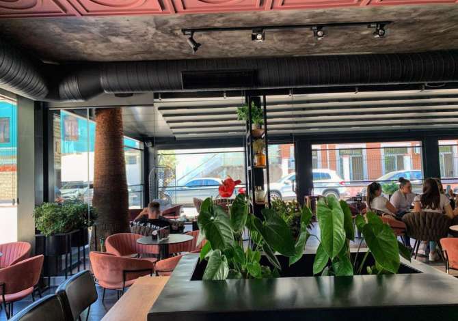 Njoftime Pune ne Tirane, Profesioni Kamariere,Banakiere , , Pagesa Me Marreveshje.