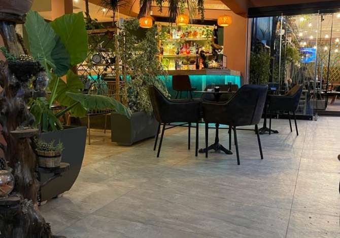 Njoftime Pune ne Tirane, Profesioni Kamarier/e,Banakier/e , , Pagesa Me Marreveshje.