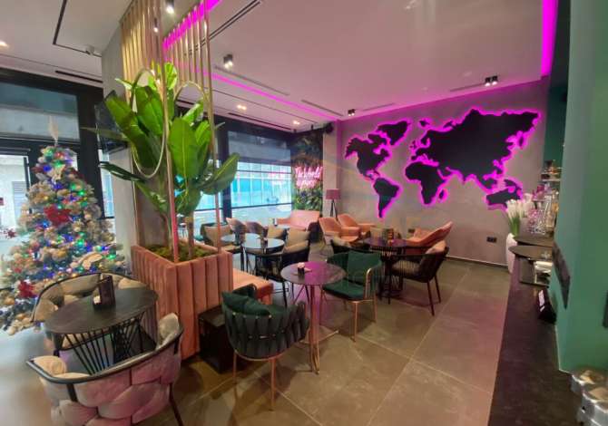 Ambient biznesi ne shitje 2+1 ne Tirane - 220,000 Euro