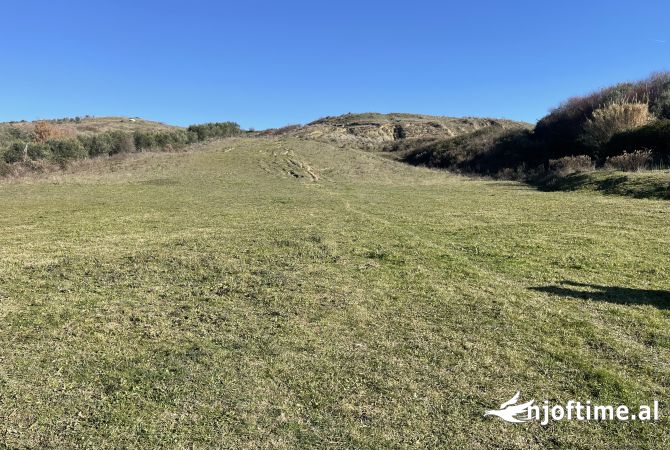 Truall ose Toke  ne Tirane - 196,000 Euro