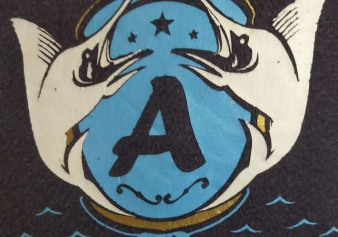 Njoftime Pune ne Tirane, Profesioni Punetore , Me eksperience, Pagesa 40,000  Leke.