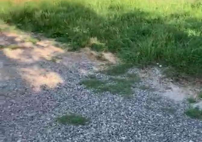 Shitet toke 520 m2, tek ish Frutikultura ne Valias , Kamez