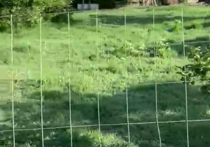 Truall ose Toke ne Tirane - 25,000 Euro