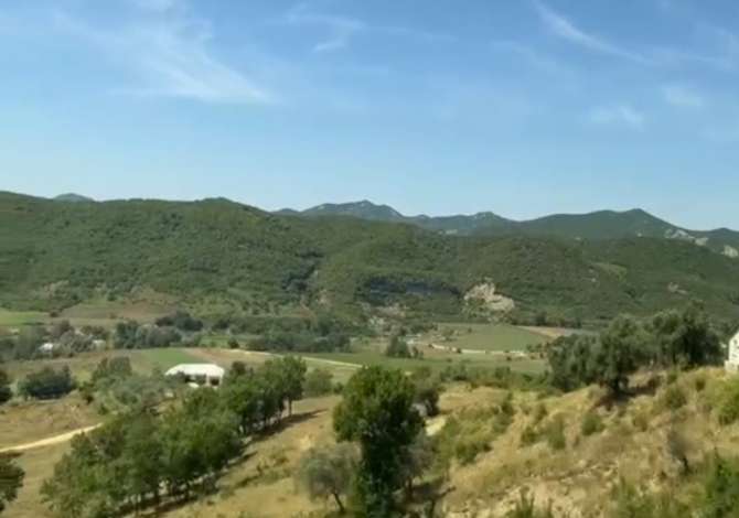 Truall ose Toke ne Tirane - 50,000 Euro