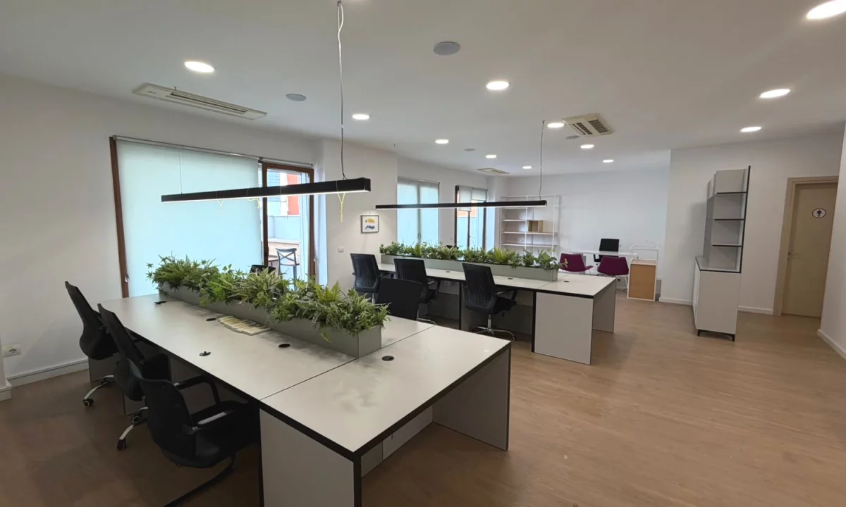 Jepet me qira zyre prane Delijorgjit