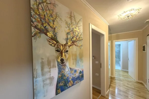 Apartment for rent in Tirana 2+1, Furnished