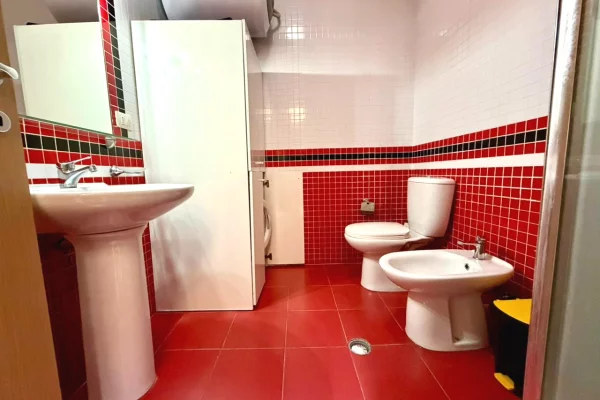 Shtepi me qera Apartament ne Tirane, 1+1, Mobilimi E mobiluar, Pagesa 550  Euro.