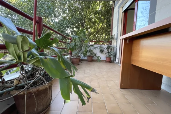 Jepet me qira zyre tek rruga e Kavajes