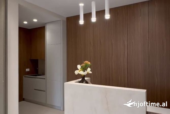 Ambient biznesi me qera 3+1 ne Tirane - 2,000 Euro