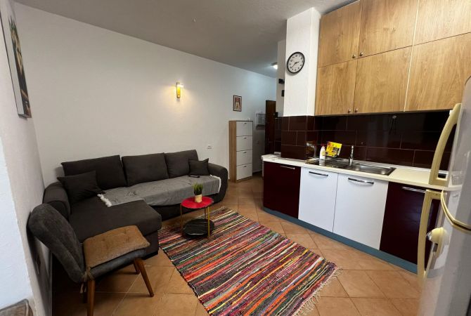 Shtepi me qera 1+1 ne Tirane - 420 Euro