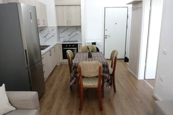 Shtepi me qera 1+1 ne Tirane - 42,000 Leke