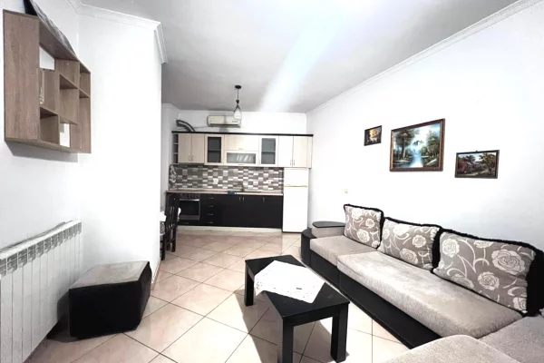 House for Rent 1+1 in Tirana - 50,000 Leke