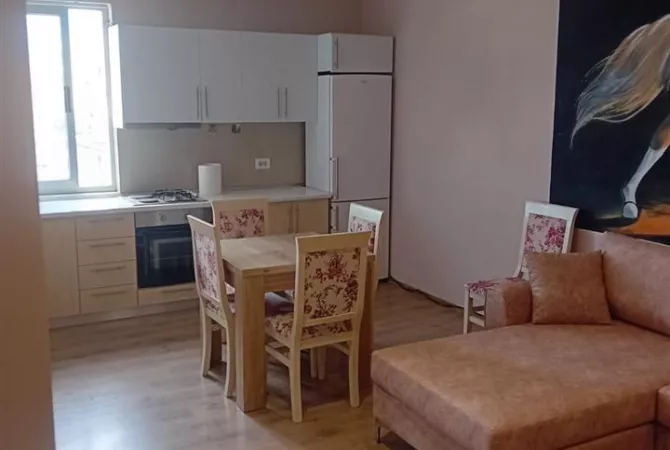 Shtepi me qera 1+1 ne Tirane - 55,000 Leke