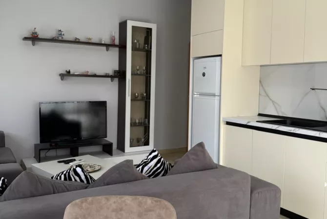 Shtepi me qera 2+1 ne Tirane - 65,000 Leke