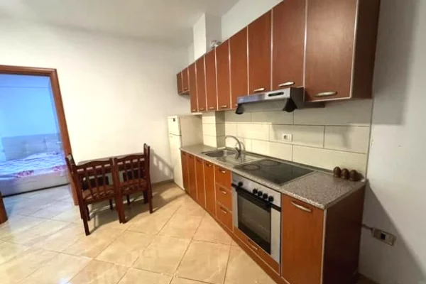 Shtepi me qera 1+1 ne Tirane - 40,000 Leke