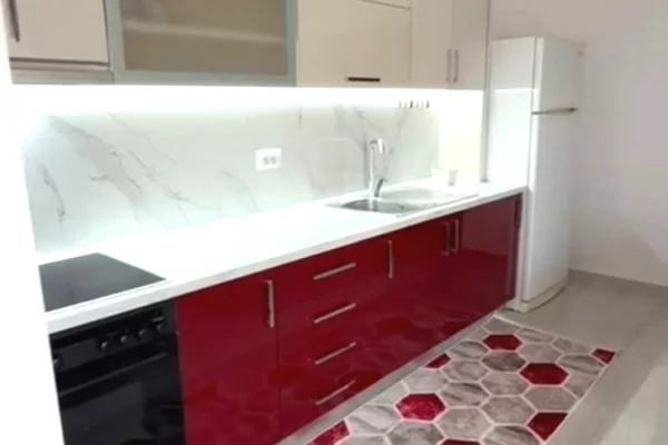 House for Rent 1+1 in Tirana - 650 Euro