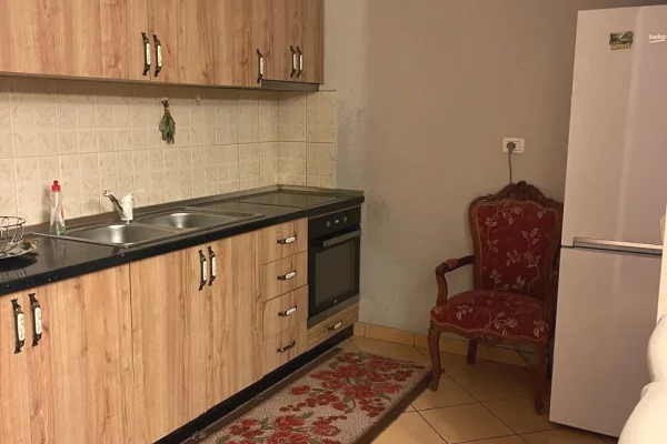 Shtepi me qera 1+1 ne Tirane - 50,000 Leke
