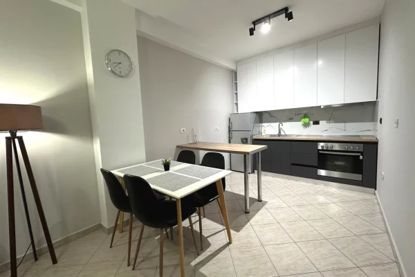 House for Rent 1+1 in Tirana - 65,000 Leke