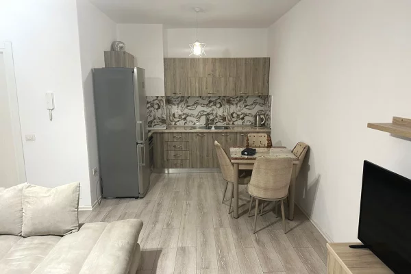 House for Rent 1+1 in Tirana - 60,000 Leke