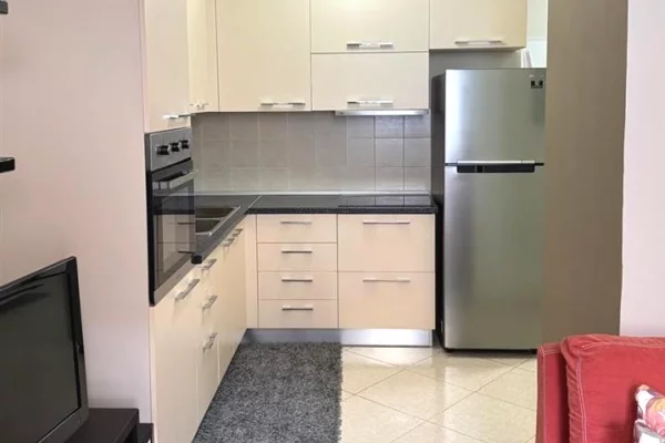 Shtepi me qera 1+1 ne Tirane - 38,000 Leke