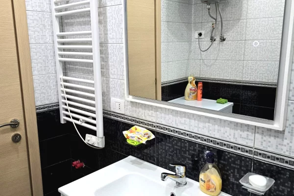 Shtepi me qera Apartament ne Tirane, 1+1, Mobilimi E mobiluar, Pagesa 650  Euro.