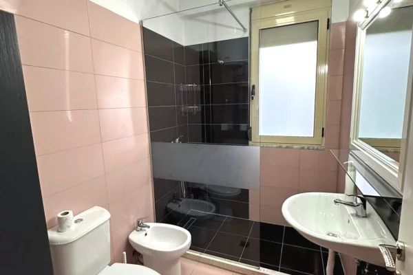 Shtepi me qera Apartament ne Tirane, 1+1, Mobilimi E mobiluar, Pagesa 55,000  Leke.