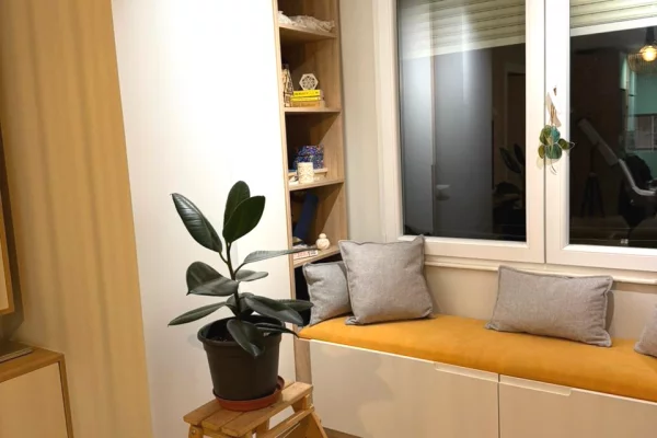 Shtepi me qera Apartament ne Tirane, 1+1, Mobilimi E mobiluar, Pagesa 750  Euro.
