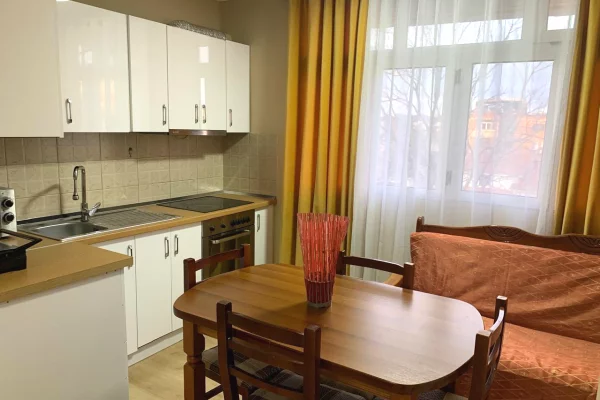 Shtepi me qera Apartament ne Tirane, 1+1, Mobilimi E mobiluar, Pagesa 500  Euro.