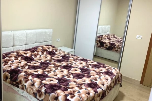 Shtepi me qera Apartament ne Tirane, 1+1, Mobilimi E mobiluar, Pagesa 500  Euro.