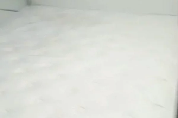 Shtepi me qera 2+1 ne Tirane - 50,000 Leke