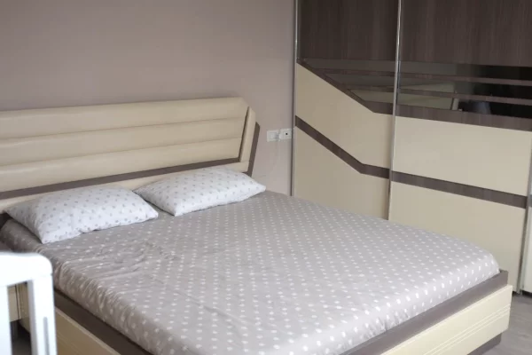 Shtepi me qera Apartament ne Tirane, 1+1, Mobilimi E mobiluar, Pagesa 60,000  Leke.