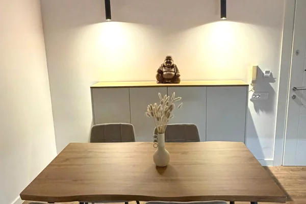 Shtepi me qera Vila Luksoze ne Tirane, 1+1, Mobilimi E mobiluar, Pagesa 85,000  Leke.