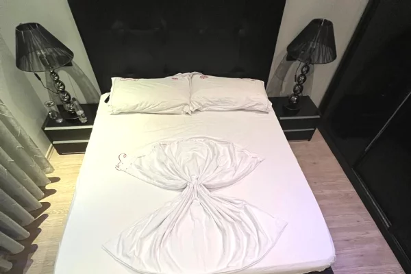 Shtepi me qera Apartament ne Tirane, 2+1, Mobilimi E mobiluar, Pagesa 65,000  Leke.