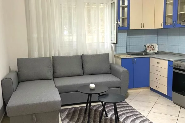 House for Rent 1+1 in Tirana - 40,000 Leke