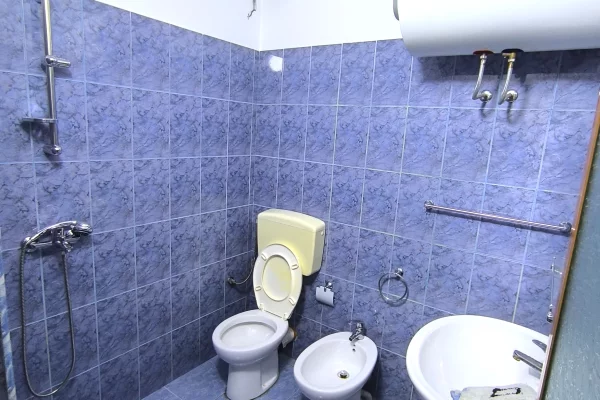 Apartment for rent in Tirana 1+1, Furnished