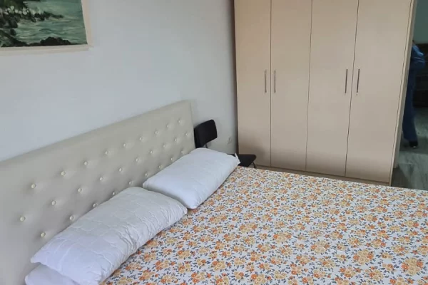 Apartment for rent in Tirana 1+1, Furnished