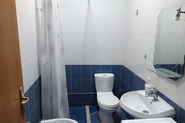 Shtepi me qera Apartament ne Tirane, 1+1, Mobilimi E mobiluar, Pagesa 50,000  Leke.