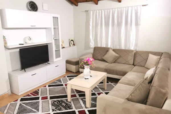 Bulevardi Zogu i I-re,jepet me qera apartament 1+1, i miremobiluar,55,000Leke (i diskutueshem)