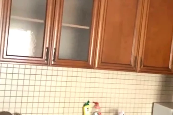 Shtepi me qera Apartament ne Tirane, 1+1, Mobilimi E mobiluar, Pagesa 55,000  Leke.