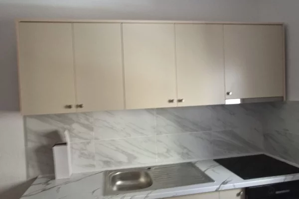 Luxury villas for rent in Tirana 1+1, Furnished