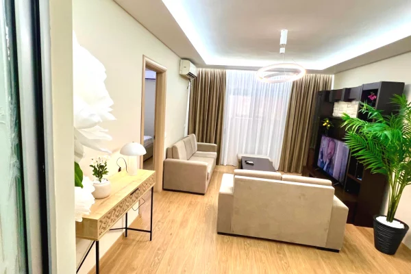 Apartment for rent in Tirana 1+1, Furnished